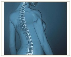 Slider image (5) ADIVA | Stem Cell Therapy Center